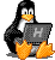 Tux, a mascot of Linux, typing on a laptop.